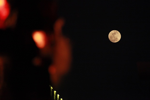 й(304am-VIP֤)-Official Platform